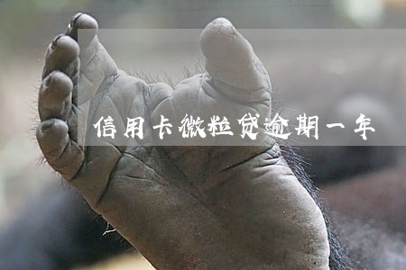 信用卡微粒贷逾期一年
