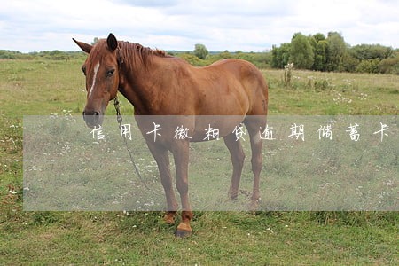 信用卡微粒贷逾期储蓄卡还能用么 信用卡微粒贷逾期储蓄卡还能用么