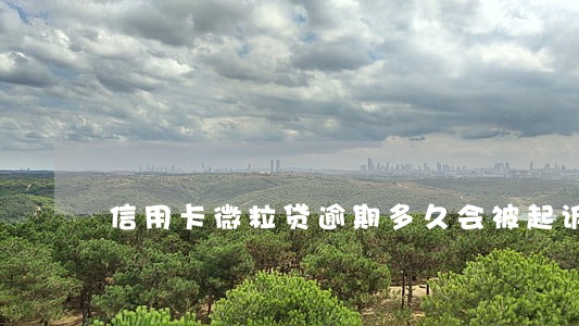 信用卡微粒贷逾期多久会被起诉