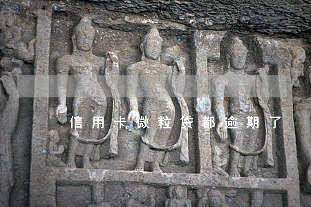 信用卡微粒贷都逾期了 信用卡微粒贷都逾期了