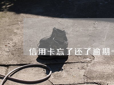 信用卡忘了还了逾期十二天