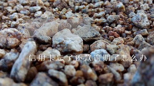 信用卡忘了还款逾期了怎么办