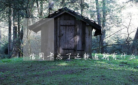 信用卡忘了还款逾期有什么影响 信用卡忘了还款逾期有什么影响