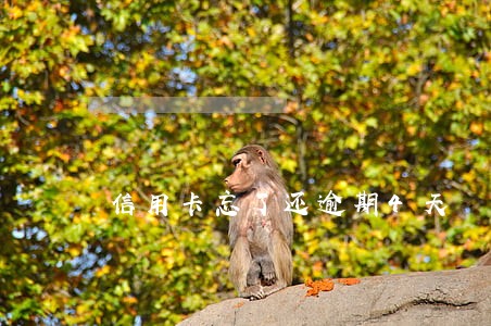 信用卡忘了还逾期4天