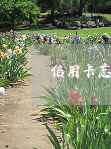 信用卡忘了还逾期6天 信用卡忘了还逾期6天