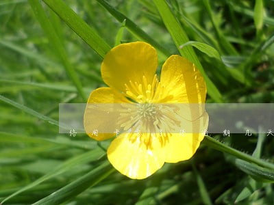 信用卡忘了还逾期几天 信用卡忘了还逾期几天