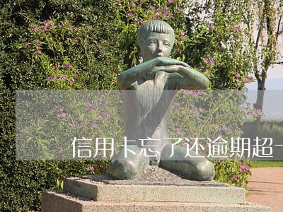 信用卡忘了还逾期超十天
