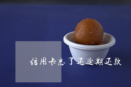 信用卡忘了还逾期还款