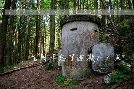 信用卡忘了逾期11天 信用卡忘了逾期11天