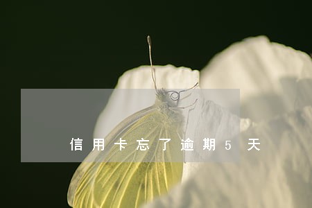 信用卡忘了逾期5天 信用卡忘了逾期5天