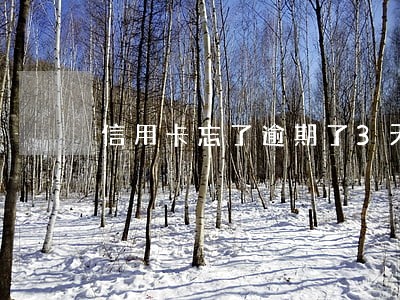 信用卡忘了逾期了3天 信用卡忘了逾期了3天