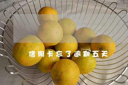 信用卡忘了逾期五天