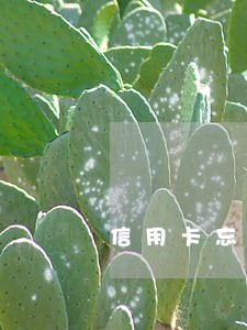 信用卡忘了逾期几天 信用卡忘了逾期几天