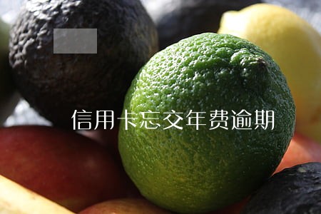 信用卡忘交年费逾期 信用卡忘交年费逾期