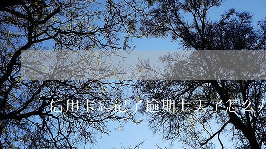 信用卡忘记了逾期七天了怎么办 信用卡忘记了逾期七天了怎么办