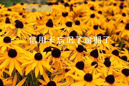 信用卡忘记了逾期了 信用卡忘记了逾期了