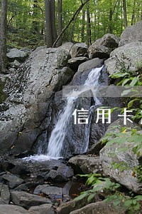 信用卡忘记分卡换逾期 信用卡忘记分卡换逾期