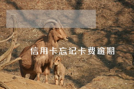 信用卡忘记卡费逾期