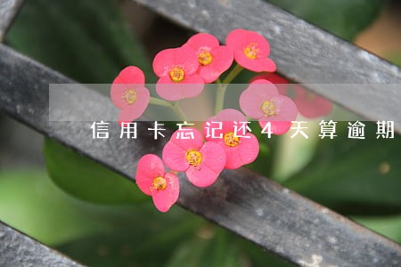 信用卡忘记还4天算逾期吗