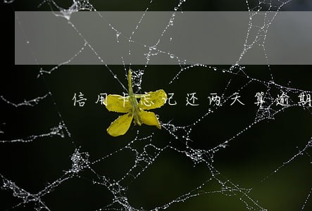 信用卡忘记还两天算逾期么 信用卡忘记还两天算逾期么