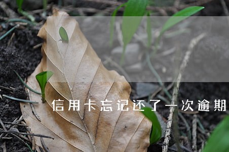 信用卡忘记还了一次逾期
