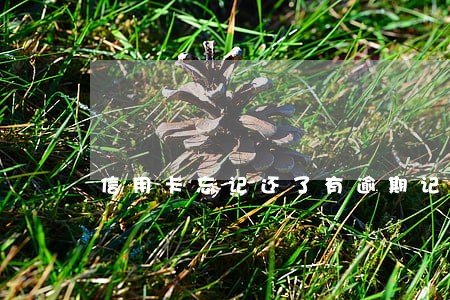 信用卡忘记还了有逾期记录 信用卡忘记还了有逾期记录