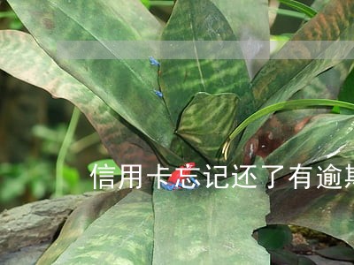 信用卡忘记还了有逾期记录吗