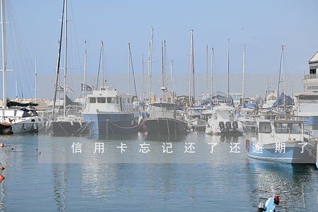 信用卡忘记还了还逾期了八次 信用卡忘记还了还逾期了八次