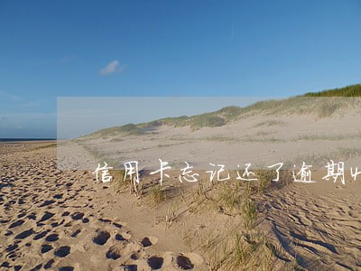 信用卡忘记还了逾期4天
