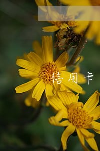信用卡忘记还了逾期一天有事吗 信用卡忘记还了逾期一天有事吗
