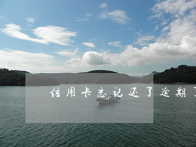 信用卡忘记还了逾期了6天 信用卡忘记还了逾期了6天