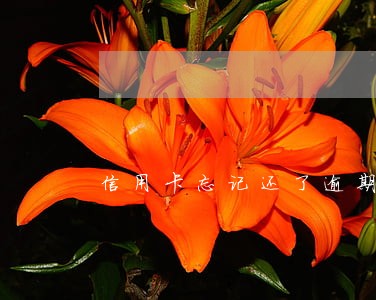 信用卡忘记还了逾期半个月