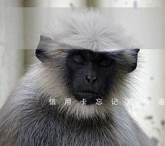 信用卡忘记还叫逾期吗 信用卡忘记还叫逾期吗