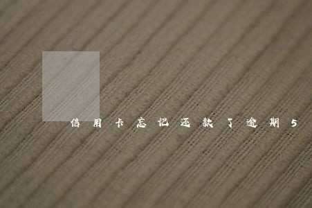 信用卡忘记还款了逾期5天 信用卡忘记还款了逾期5天