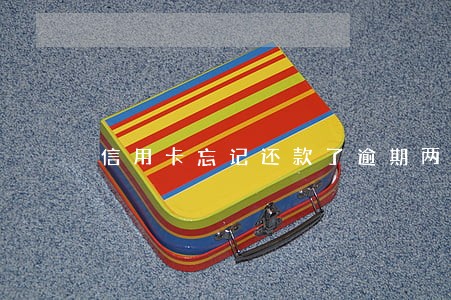 信用卡忘记还款了逾期两天 信用卡忘记还款了逾期两天