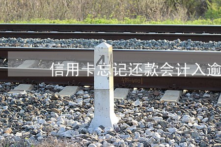 信用卡忘记还款会计入逾期吗