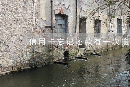 信用卡忘记还款有一次逾期记录 信用卡忘记还款有一次逾期记录
