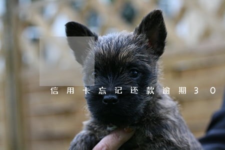 信用卡忘记还款逾期30天 信用卡忘记还款逾期30天