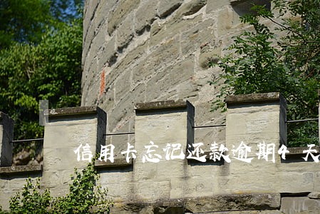 信用卡忘记还款逾期4天 信用卡忘记还款逾期4天