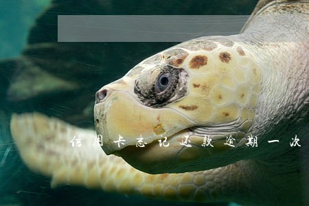 信用卡忘记还款逾期一次怎么办啊 信用卡忘记还款逾期一次怎么办啊