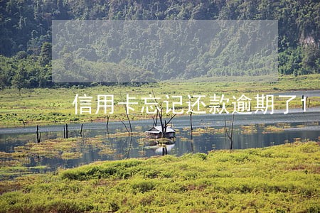信用卡忘记还款逾期了1天怎么办 信用卡忘记还款逾期了1天怎么办