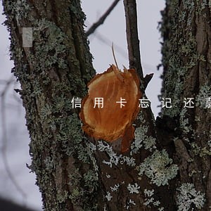 信用卡忘记还款逾期了4天 信用卡忘记还款逾期了4天