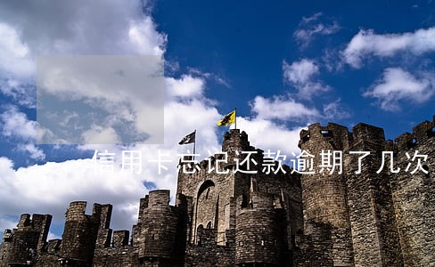 信用卡忘记还款逾期了几次 信用卡忘记还款逾期了几次