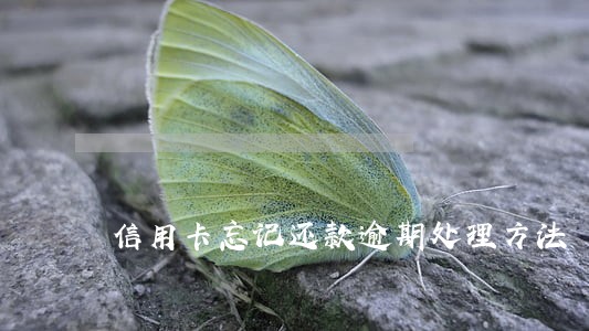 信用卡忘记还款逾期处理方法 信用卡忘记还款逾期处理方法