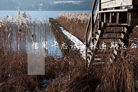 信用卡忘记还款逾期怎么办6 信用卡忘记还款逾期怎么办6