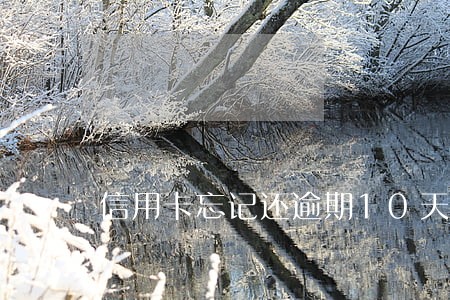 信用卡忘记还逾期10天 信用卡忘记还逾期10天