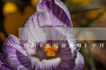 信用卡忘记还逾期7个月 信用卡忘记还逾期7个月