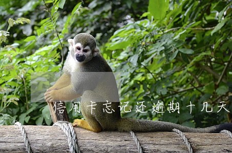 信用卡忘记还逾期十几天怎么办 信用卡忘记还逾期十几天怎么办