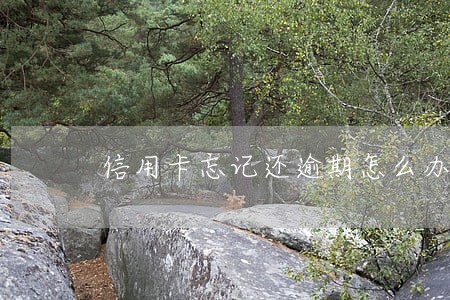 信用卡忘记还逾期怎么办 信用卡忘记还逾期怎么办