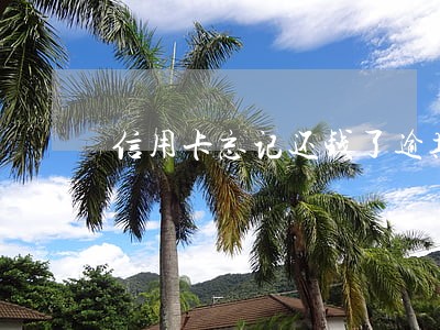 信用卡忘记还钱了逾期了几天 信用卡忘记还钱了逾期了几天